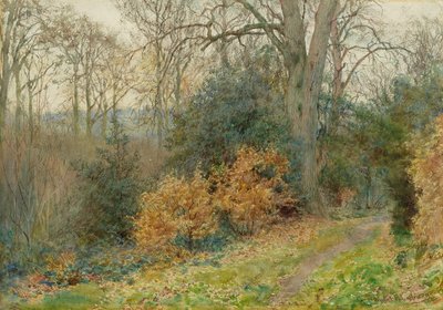 Path Through the Wood, 1902 by Wilmot Pilsbury